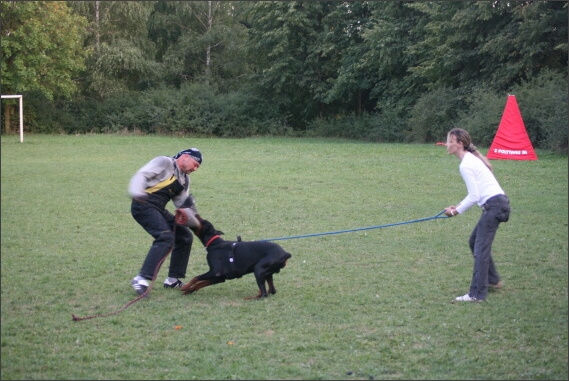 Summer training camp - Jelenec - 2007